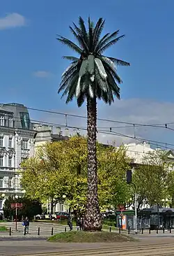 Greetings from Jerusalem Avenue, an artificial palm tree in the middle of the street, installed by Joanna Rajkowska in 2002.
