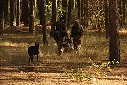 Combat casualty care trainings for the 8th Separate Special Forces Regiment in the ATO zone. Evacuation of wounded in the conventional tactical scenario. Photo 2015 by Olga Khudetska.