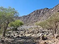 The lower reaches of the Wadi Ejili watercourse