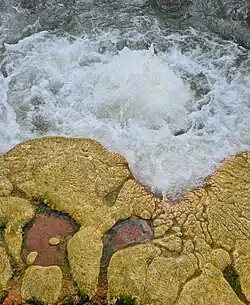 Istisu thermal spring close to Zülfüqarlı village