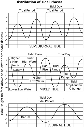 Three graphs. The first shows the twice-daily rising and falling tide pattern with nearly regular high and low elevations. The second shows the much more variable high and low tides that form a "mixed tide". The third shows the day-long period of a diurnal tide.