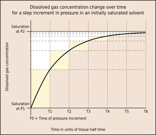 Graph showing dissolved gas concentration change over time for a step pressure increment in an initially saturated solvent
