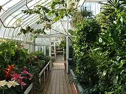 Inside the Tollcross Winter Gardens in 2008.