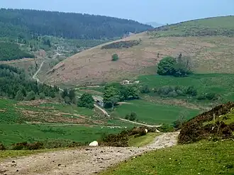A gravel track through grassy countryside leads towards two hills in the distance, one on the right which is grassy and one on the left which is covered with trees.
