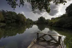 A photograph of a dock in the foreground, a lake, and groups of trees along the horizon line.