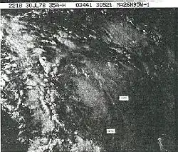 An obscure black and white satellite image of a tropical storm. Not many features are discernible, but several thunderstorm clouds are.