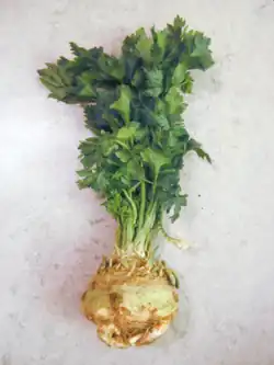 Celeriac