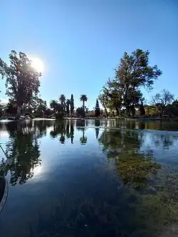 It shows a lake with trees and the sun reflection on the water.