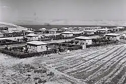 Kfar Hittim, which was founded in 1924, was the first moshav shitufi to be established in Mandatory Palestine by the Yishuv