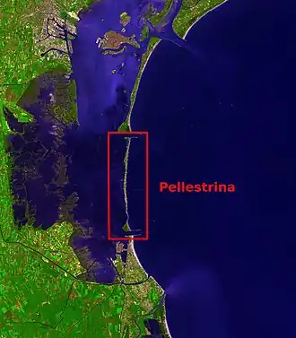 The island of Pellestrina. Southern part of the Venetian Lagoon(Pellestrina highlighted)