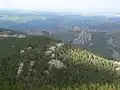View from the top of the Black Elk Peak lookout tower