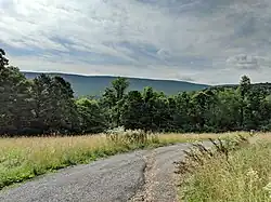 View of Sleepy Creek Mountain from a hillside in New Hope