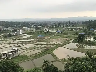 Bokse in Triyuga Municipality