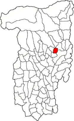 Location in Vâlcea County