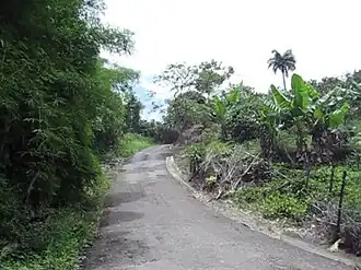 Sector Santo Domingo