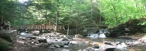 Two creeks in rocky beds meet, surrounded by sunlit forest and rocky outcrops. There are hikers at far left, a wooden footbridge crossing the stream at left, and a small waterfalls at far right.