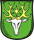 Coat of arms of Znamensk