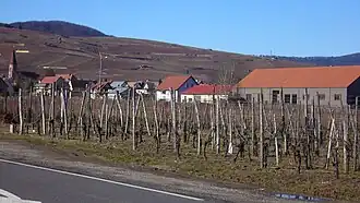 The road into Wettolsheim