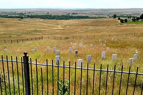 Marker indicating where General Custer fell among soldiers – denoted with black-face, in center of photo