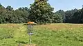 Golfwiese, with a public disc golf course