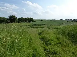 Wiggenhall St Germans