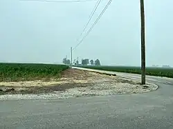 A road with fields of young corn plants on either side and an electrical pole to the left and smokey, visibly contaminated air partially obscuring trees and buildings in the background