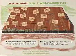 Winter Meals from a Well-planned Plot Art.IWMPST17019