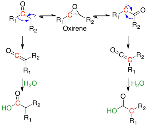 Isotopic scrambling of 13C labeled ketocarbene via symmetric oxirene.