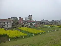 Xintan, one of the towns of Honghu City, seen from a Yangtze levee