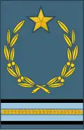 Sleeve insignia of the rank of Marshal of Yugoslavia for the Air Force, used 1945–1980.