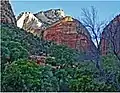 Castle Dome from Zion Lodge