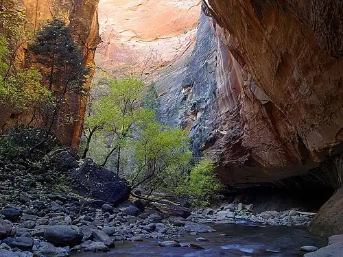 Virgin River Narrows, Zion National Park