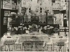 John Orr & Co. shop window, Ashburton, 1930s